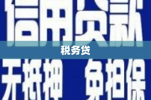 龙山税务贷