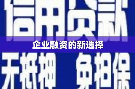 龙山企业融资的新选择