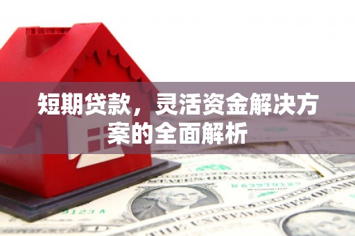 龙山短期贷款，灵活资金解决方案的全面解析