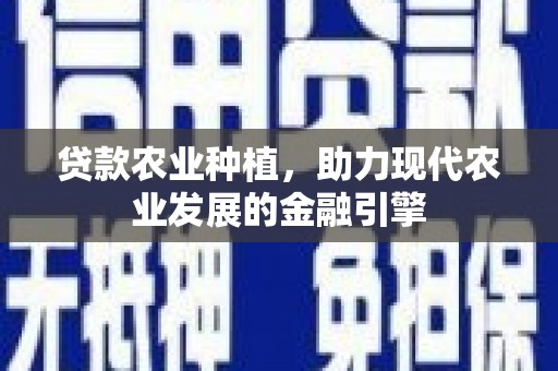 龙山贷款农业种植，助力现代农业发展的金融引擎