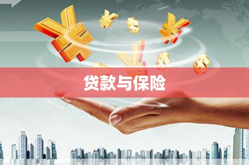 龙山贷款与保险