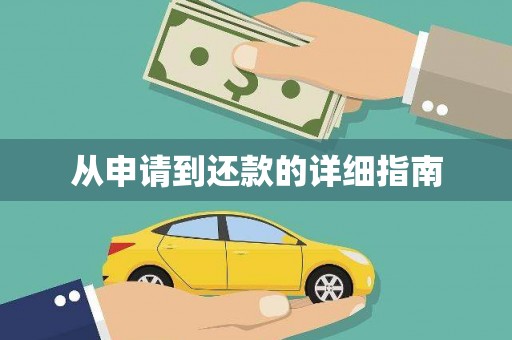 龙山从申请到还款的详细指南