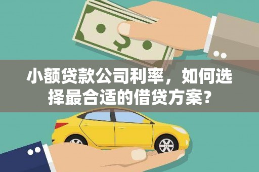 龙山小额贷款公司利率，如何选择最合适的借贷方案？