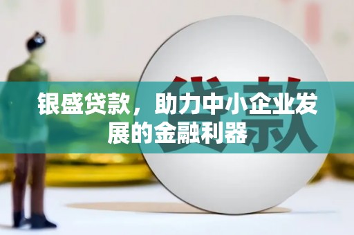 龙山银盛贷款，助力中小企业发展的金融利器