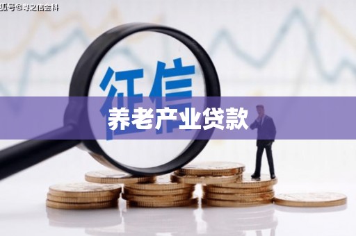 龙山养老产业贷款