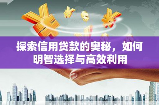 龙山探索信用贷款的奥秘，如何明智选择与高效利用