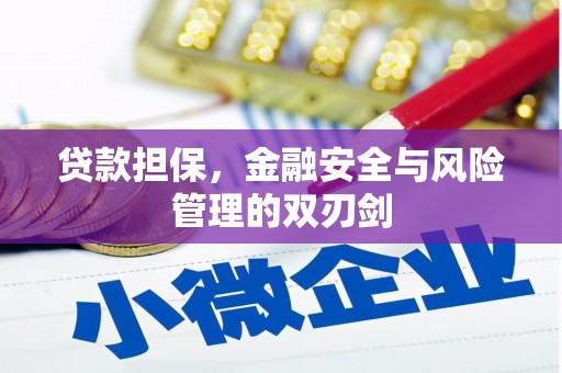 龙山贷款担保，金融安全与风险管理的双刃剑