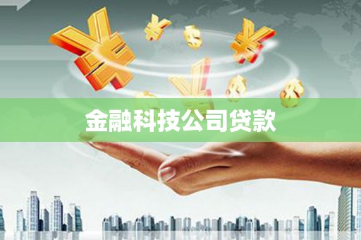 龙山金融科技公司贷款