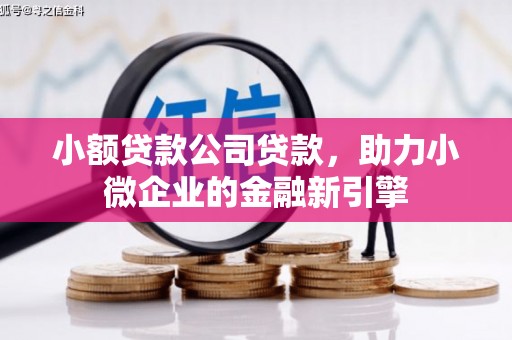 龙山小额贷款公司贷款，助力小微企业的金融新引擎