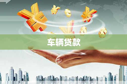 龙山车辆贷款