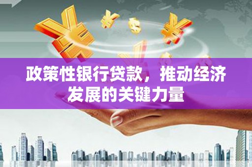 龙山政策性银行贷款，推动经济发展的关键力量