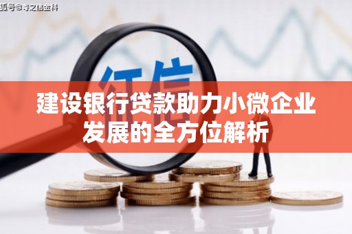 龙山建设银行贷款助力小微企业发展的全方位解析