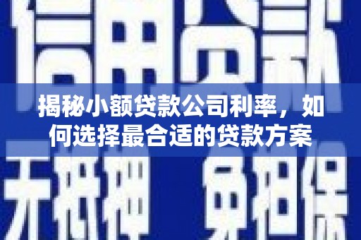 龙山揭秘小额贷款公司利率，如何选择最合适的贷款方案