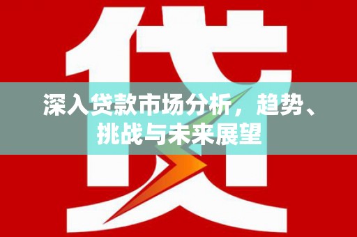 龙山深入贷款市场分析，趋势、挑战与未来展望