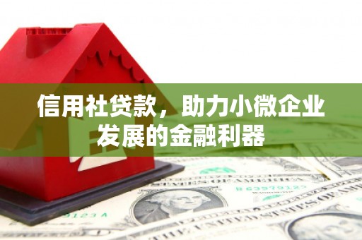 龙山信用社贷款，助力小微企业发展的金融利器