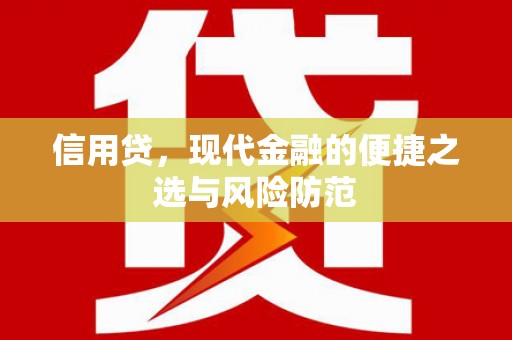 龙山信用贷，现代金融的便捷之选与风险防范