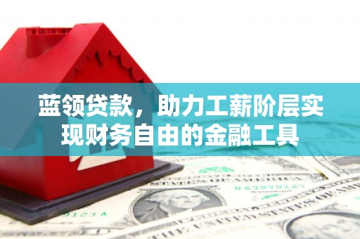 龙山蓝领贷款，助力工薪阶层实现财务自由的金融工具