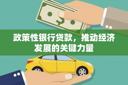 龙山政策性银行贷款，推动经济发展的关键力量