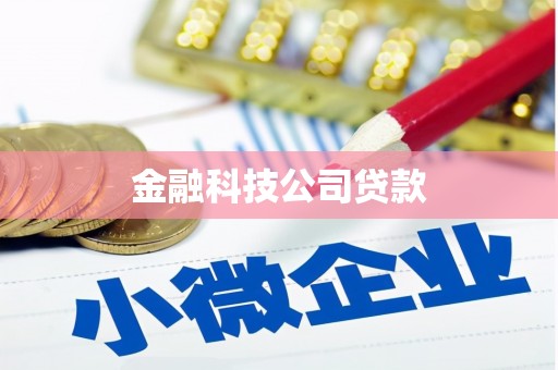 龙山金融科技公司贷款