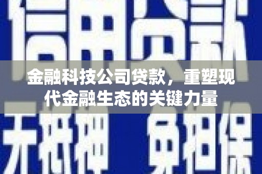 龙山金融科技公司贷款，重塑现代金融生态的关键力量
