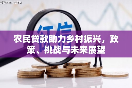 龙山农民贷款助力乡村振兴，政策、挑战与未来展望