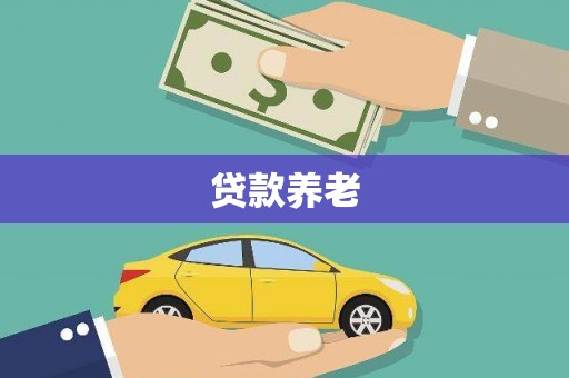 龙山贷款养老