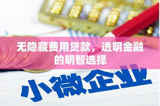 龙山无隐藏费用贷款，透明金融的明智选择