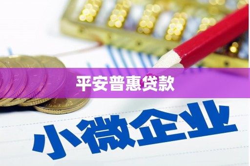龙山平安普惠贷款