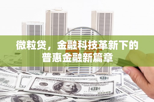 龙山微粒贷，金融科技革新下的普惠金融新篇章