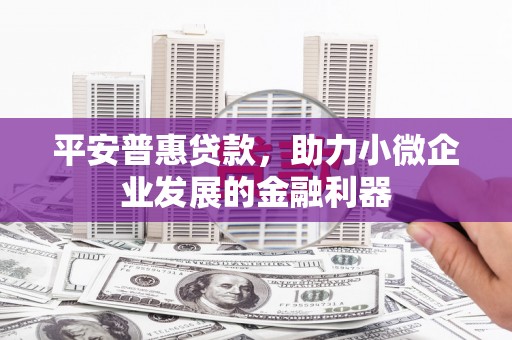 龙山平安普惠贷款，助力小微企业发展的金融利器