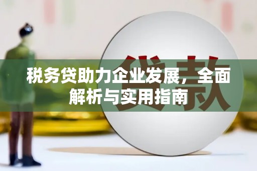 龙山税务贷助力企业发展，全面解析与实用指南