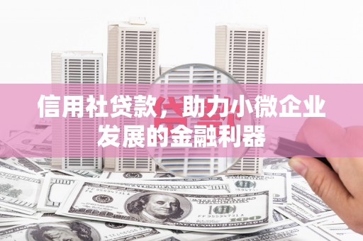 龙山信用社贷款，助力小微企业发展的金融利器