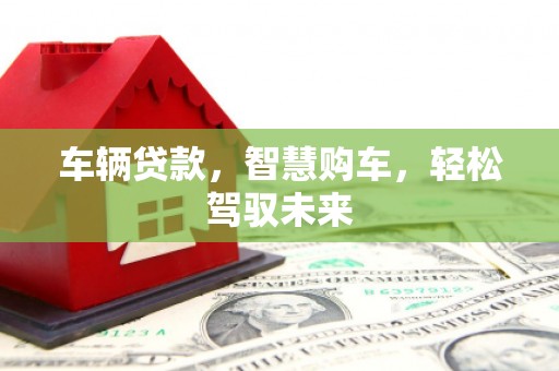 龙山车辆贷款，智慧购车，轻松驾驭未来
