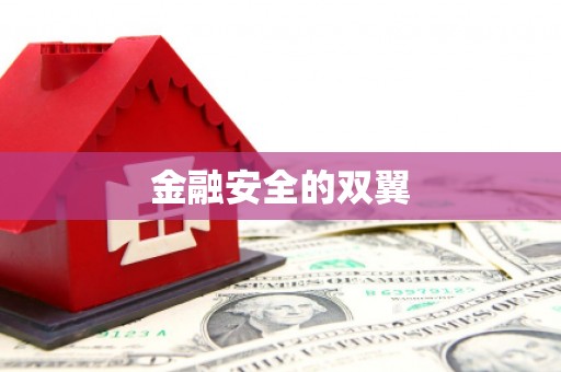 龙山金融安全的双翼
