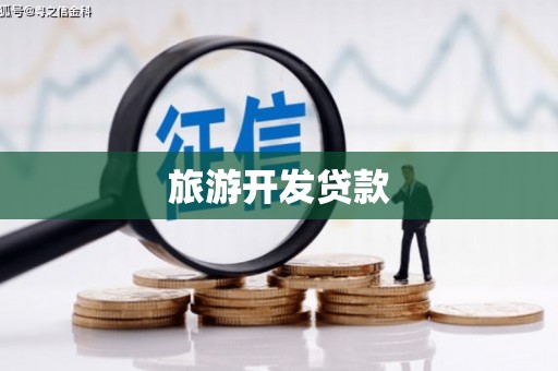 龙山旅游开发贷款