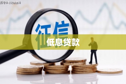 龙山低息贷款