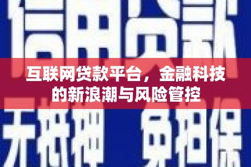 龙山互联网贷款平台，金融科技的新浪潮与风险管控
