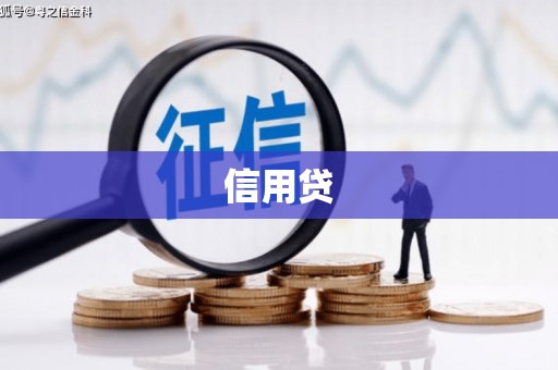 龙山信用贷