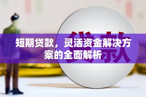 龙山短期贷款，灵活资金解决方案的全面解析