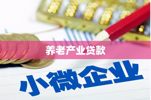龙山养老产业贷款