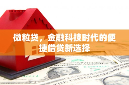 龙山微粒贷，金融科技时代的便捷借贷新选择