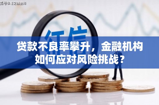 龙山贷款不良率攀升，金融机构如何应对风险挑战？
