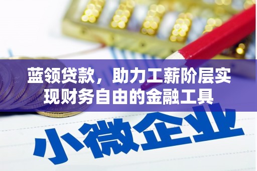 龙山蓝领贷款，助力工薪阶层实现财务自由的金融工具