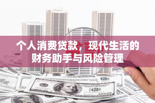 龙山个人消费贷款，现代生活的财务助手与风险管理