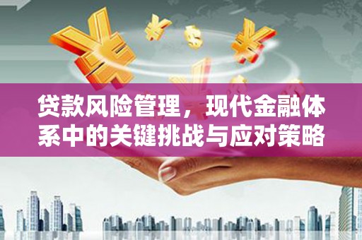 龙山贷款风险管理，现代金融体系中的关键挑战与应对策略