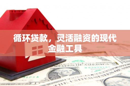 龙山循环贷款，灵活融资的现代金融工具