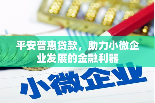 龙山平安普惠贷款，助力小微企业发展的金融利器