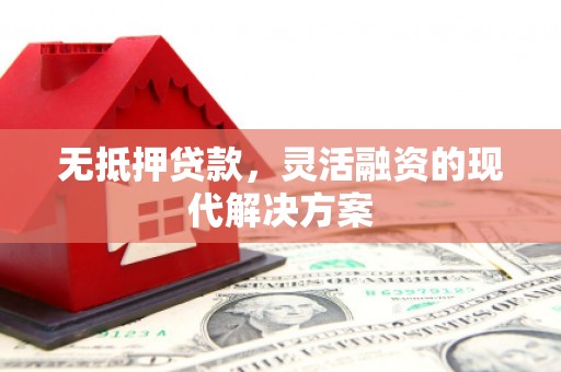 龙山无抵押贷款，灵活融资的现代解决方案