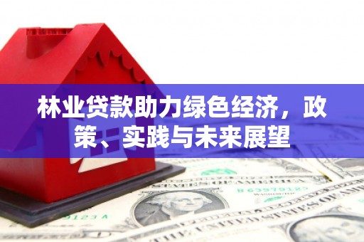 龙山林业贷款助力绿色经济，政策、实践与未来展望