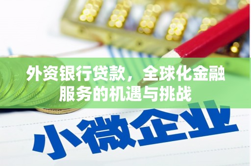 龙山外资银行贷款，全球化金融服务的机遇与挑战